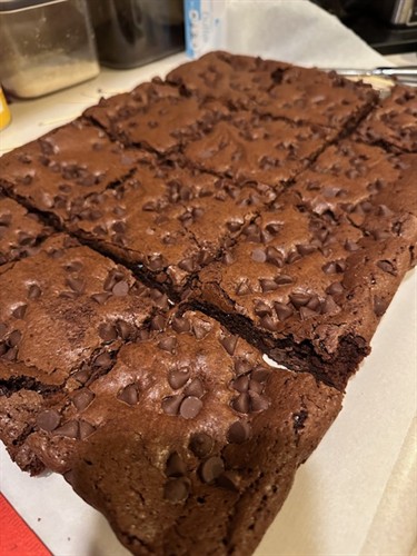 Chocolate Chip Brownies- gooey goodness!