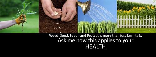 Gallery Image BANNER-Weed-Seed-Feed-and-Protect.JPG