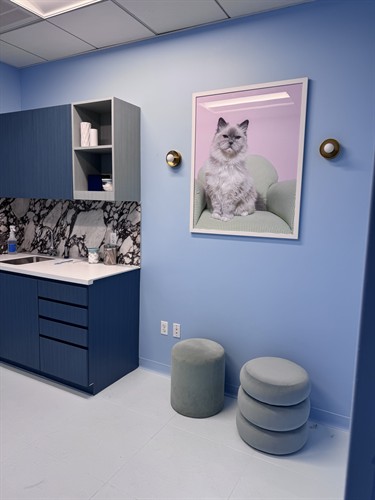 warm and comfortable exam rooms