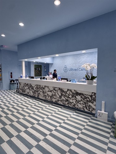 Front Reception
