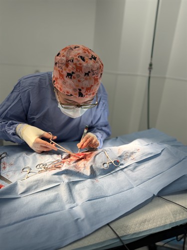 24/7 surgery