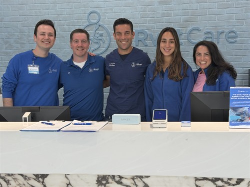 Roslyn team members