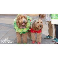 Trick-or-Treat on Oak Street