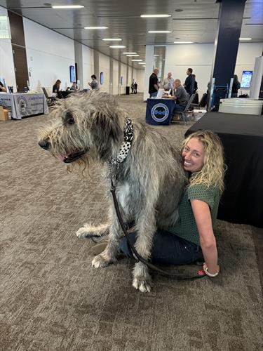 He thinks he is small! Big or small, I train them all.