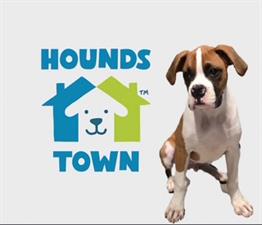 Hounds Town North Fort Worth Alliance