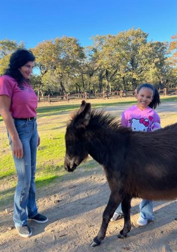 Theraphy with mini donkey