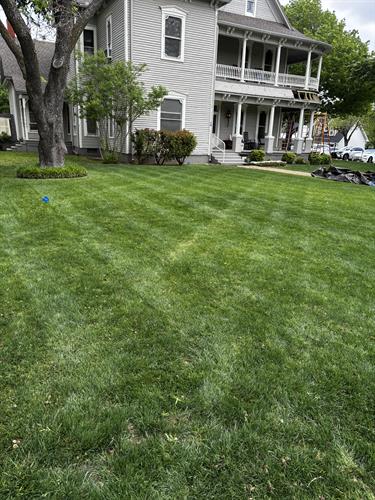 Lush Green Lawns are our specialty!