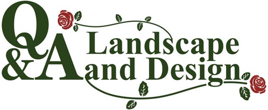 Q&A Landscape and Design