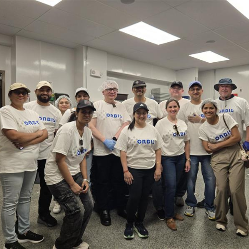 Team Volunteer Activity - Local Food Bank