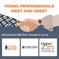 Young Professionals Meet and Greet