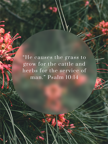 Created for our healing