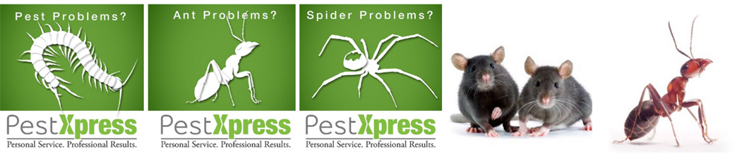 Pest Xpress Pest Xpress