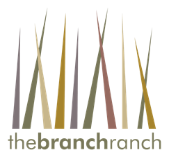 The Branch Ranch