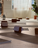 All Paths Yoga - Warkworth