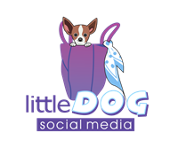 Little Dog Social Media