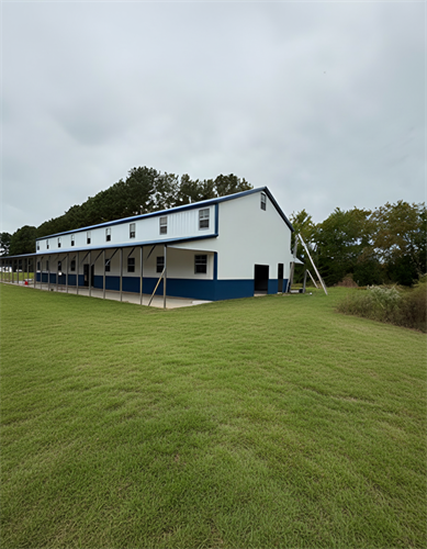 Barndo with lean tos