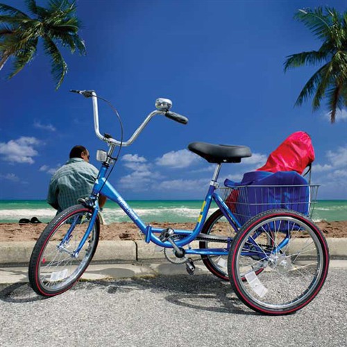 Adult Ricycles