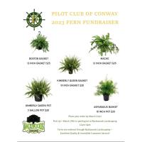 Conway Pilot Club raises funds for Horry County student scholarships
