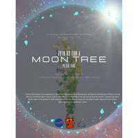 Conway Elementary School & City of Conway Awarded Prestigious Moon Tree from NASA