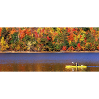 Fall Foliage Paddle 