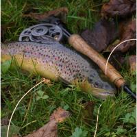 Fly Fishing Seminar: Tactics for Spring Trout