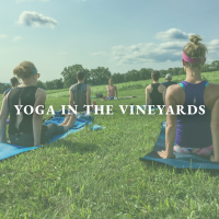 Yoga in the Vineyards