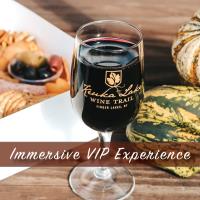 VIP Immersive Experience