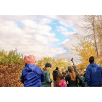 Finger Lakes Museum's Nature in Spring: 9th Annual Bird Walk