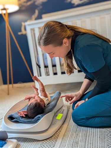 Gallery Image Scale_(5).jpg