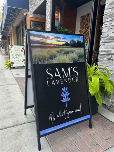 Gallery Image sam%E2%80%99s_lavender_-_1_of_3.jpeg