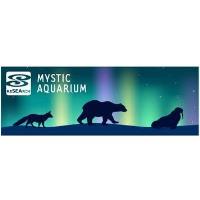 Northern Lights at Mystic Aquarium