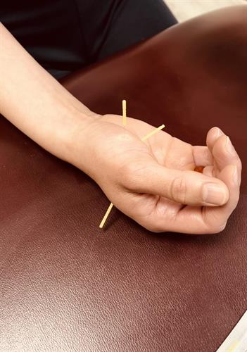 Gallery Image DN_of_Hand.jpg