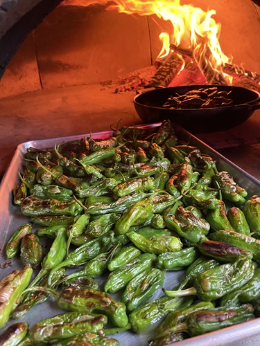 Roasted Shishito Peppers