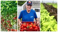 Cape Abilities Farm is Hiring!  Growers, Produce Associates, and Farm Market Associates wanted!