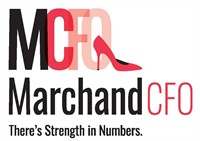 Finance Professionals, CFO, Controller, Accountant