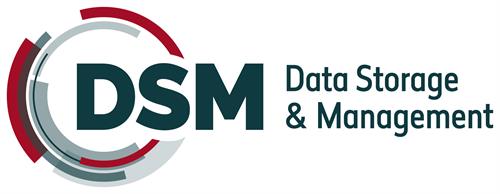 DSM LOGO