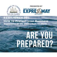 Resiliency 101 Workshop Series: From Risk to Resiliency – Preparing your Business of Future Hazards, presented by the Tampa Bay Regional Planning Council 