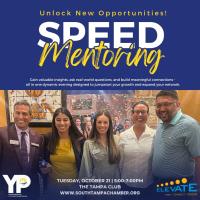 Young Professionals Speed Mentoring