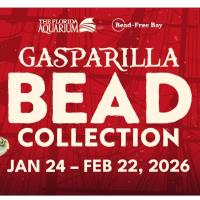 Bead Free Bay: Gasparilla Bead Recycling