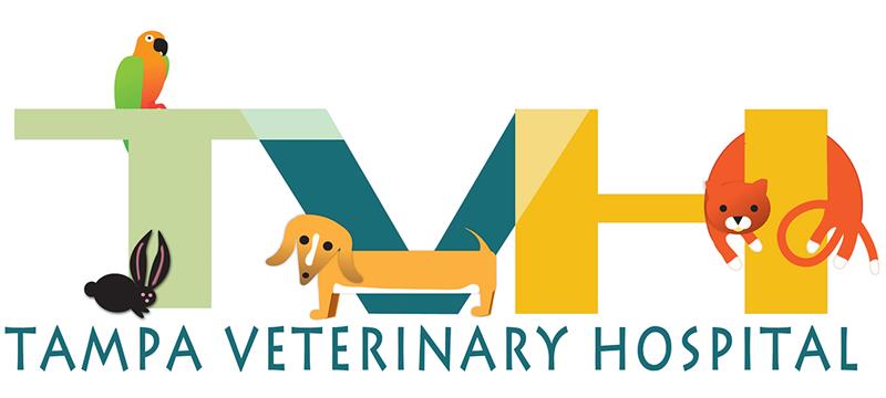 Tampa Veterinary Hospital | Veterinarians and Pet Care