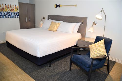 Newly Renovated Guest Rooms