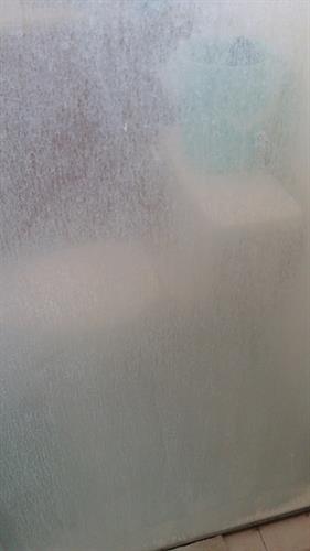 Shower Glass with extreme build up