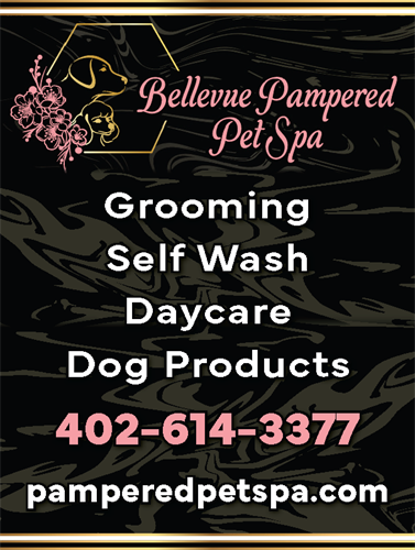 Gallery Image Bellevue_Now_Ad_Proof.png