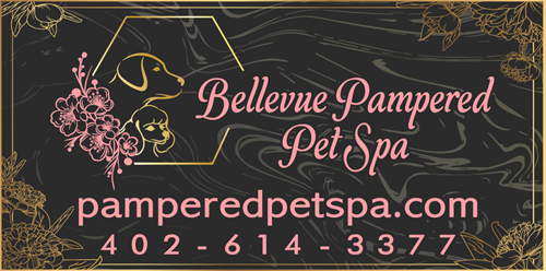 Gallery Image New_Logo_Magnet.png