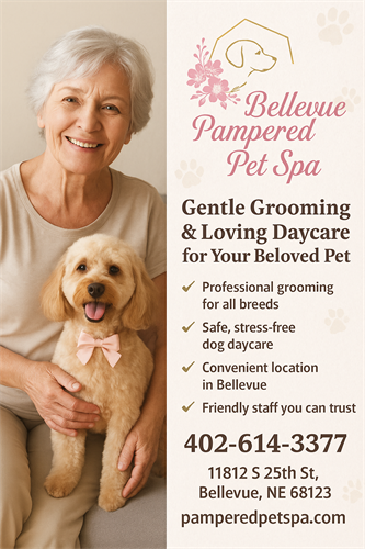 Gallery Image Pampering_Pets_at_Bellevue_Spa_-_Senior_center.png