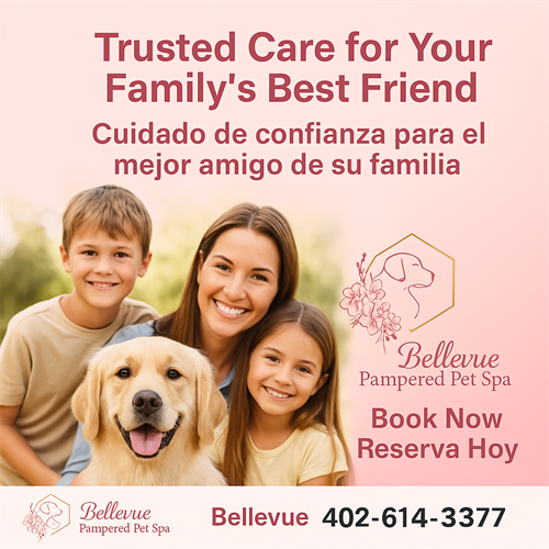 Gallery Image Social_media_-_family_-_simple.png