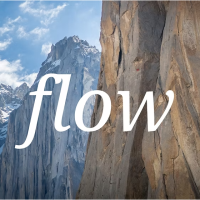 FLOW | Film Premiere