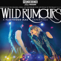 Concert: United Way Annual Summer Concert with Wild Rumours Band