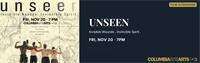 Unseen: Invisible Wounds, Invincible Spirit