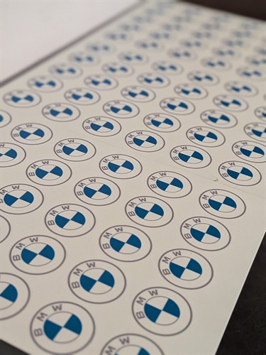 Corporate Logo (BMW)